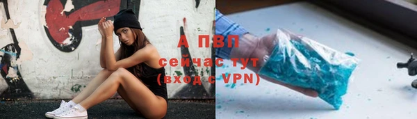 сатива Кинешма
