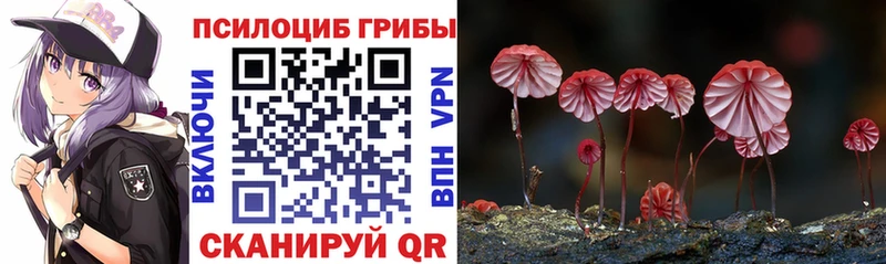 Галлюциногенные грибы MAGIC MUSHROOMS  Купить где  Армянск 